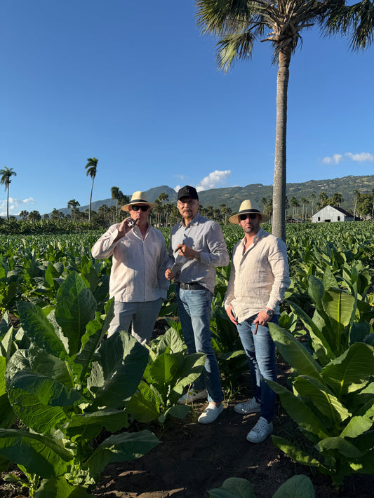 Tobacco plantation in Santiago Dominican Republic - Elixir Experiences luxury cigar tours