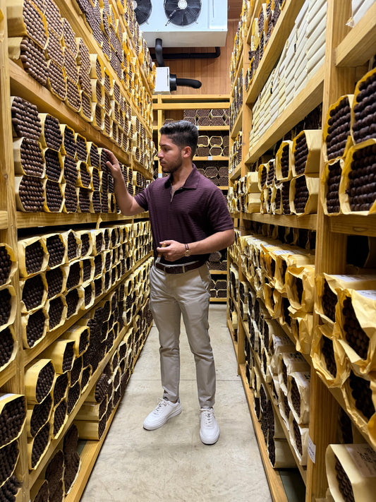 Cigar factory tour in Santiago, Dominican Republic — premium Dominican cigars aging in traditional wooden storage