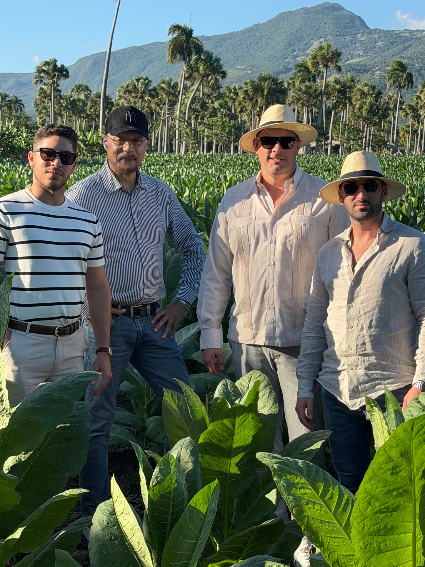 Cigar Factory Tour in Santiago, Dominican Republic
